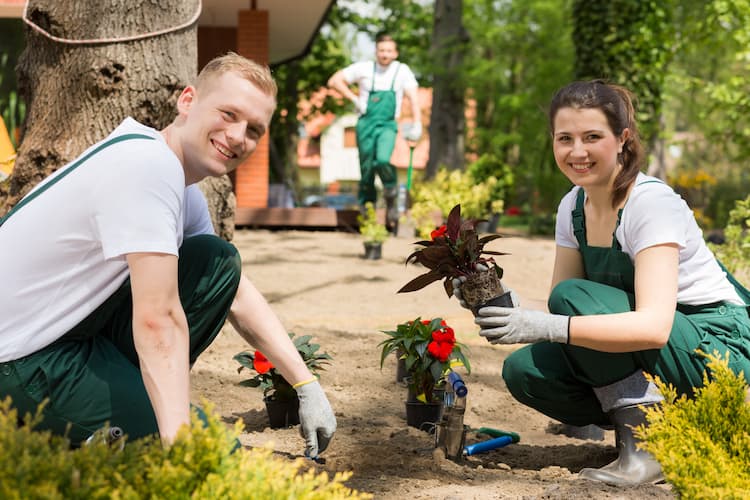 Zena – Gartenbau & Hausmeister Service GmbH – Ihr Fachbetrieb