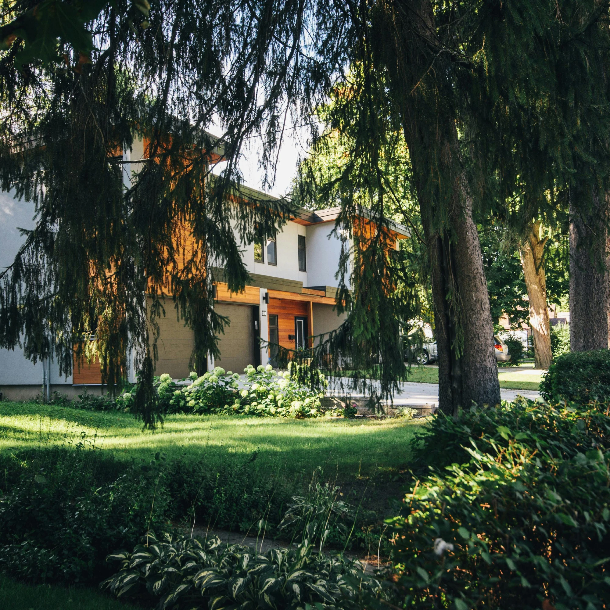 Zena – Gartenbau & Hausmeister Service GmbH Profi-Einsatz